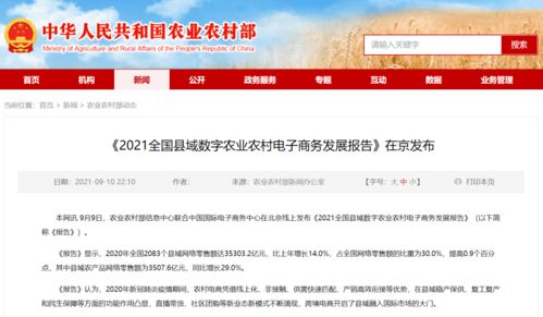 饒平縣躋身全國縣域農產品網絡零售百強，數字賦能農業新篇章