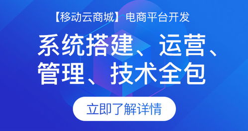 制作一個(gè)電商網(wǎng)站需要多少錢