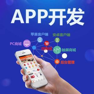APP定制開發(fā)