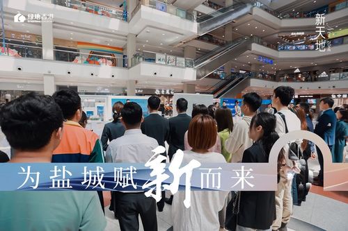 風向標 鹽城這個板塊熱得發燙,純新盤紛紛搶跑