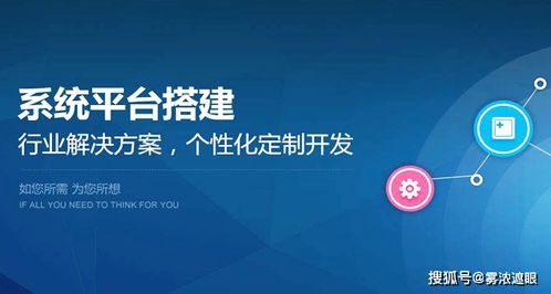 商城系統定制開發,定制開發運營的注意事項